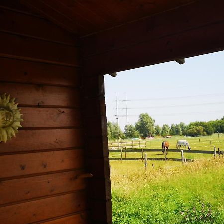 Ruime Romantische Blokhut Zwaanshoek Екстериор снимка